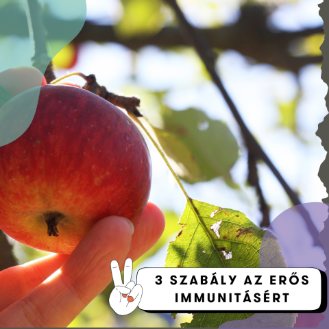 Hogyan erősítsük az immunrendszerünket ősszel? Íme három alapszabály!